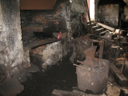 Фото Олени Крушинської, 2008 р.