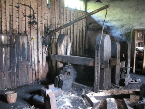 Фото Олени Крушинської, 2008 р.