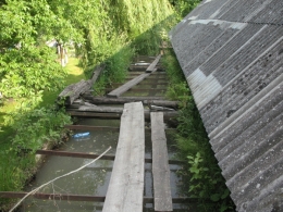 Фото Олени Крушинської, 2008 р.