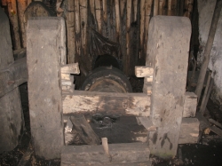 Фото Олени Крушинської, 2008 р.