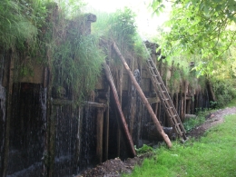 Фото Олени Крушинської, 2008 р.