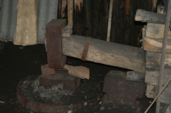 Фото Олени Крушинської, 2008 р.