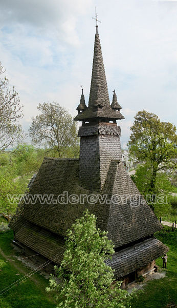 Фото Олени Крушинської, травень 2008 р.